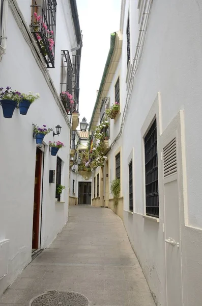 White Narrow Alley Old Center Cordoba Andalusia Spain — Stock Photo, Image