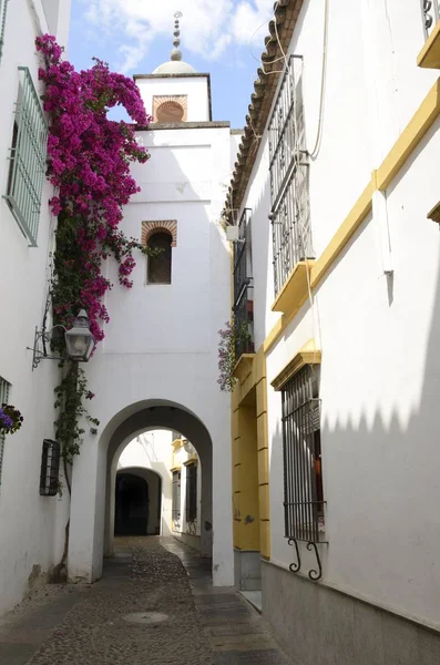 Tower Arches Lovely Alley Old Center Cordoba Andalusia Spain — Stock Photo, Image