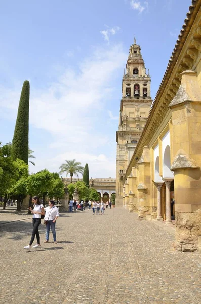 Córdoba Spanien Maj 2018 Folket Gården Apelsiner Träd Vid Moskén — Stockfoto