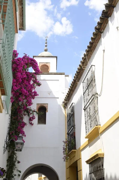 Tower Arch Jewish Quarter Cordoba Andalusia Spain — Stock Photo, Image