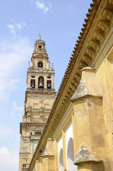 Zvonice Nádvoří Mešity Katedrály Cordoba Andalusie Španělsko — Stock fotografie