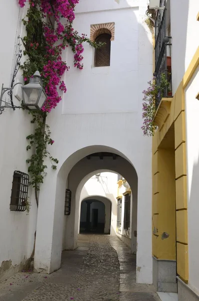 Bogen Doorgang Oude Joodse Wijk Van Cordoba Andalusie Spanje — Stockfoto