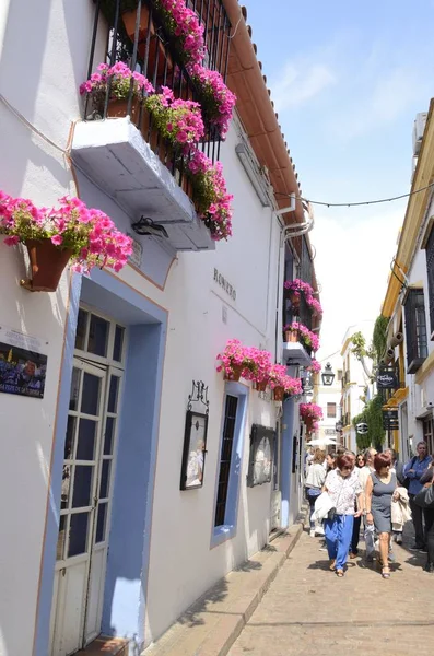 科尔多瓦 西班牙 2018年5月20日 Strollig 通过狭窄的街道装饰与花盆在科尔多瓦 安大路西亚 西班牙的犹太季度花盆 — 图库照片