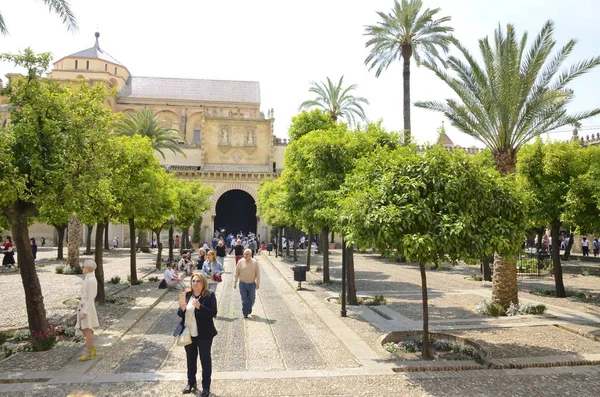 Cordoba Hiszpania Maja 2018 Ludzie Dziedzińcu Drzew Pomarańczy Katedrze Meczetu — Zdjęcie stockowe