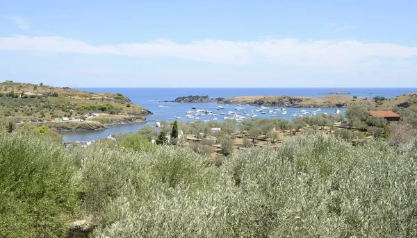 Cadaqués Hiszpania Lipca 2017 Małe Zatoce Cadaqués Małej Wiosce Wybrzeżu — Zdjęcie stockowe