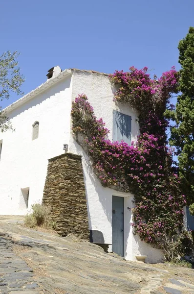 Różowy Buganvilia Śródziemnomorski Dom Miejscowości Port Lligat Wybrzeżu Costa Brava — Zdjęcie stockowe