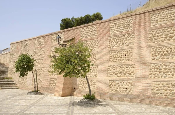グラナダ アンダルシア スペインのマラガ県の都市の壁の石の横にある木 — ストック写真