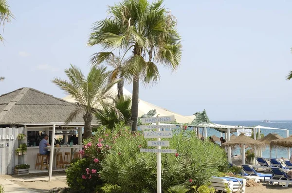 Marbella, İspanya - 31 Ağustos 2018: Palm ağaçlar ve bitkiler Marbella, Endülüs, İspanya plaj restoran dışında