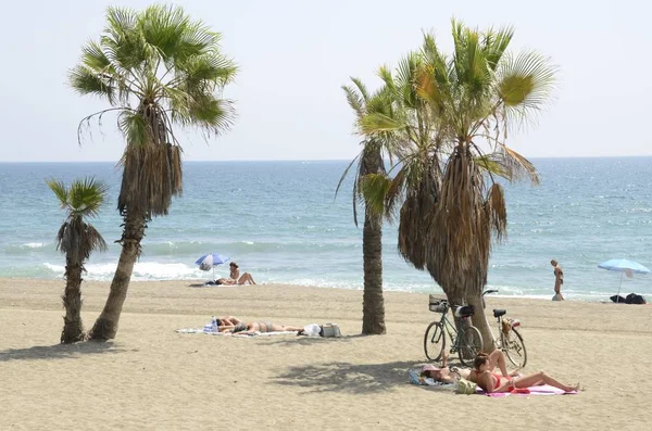 Marbella Spanje Augustus 2018 Mensen Zonnen Tussen Palmbomen Het Zand — Stockfoto