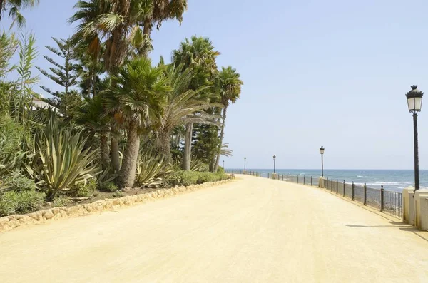 Yapraklı Bahçe Alan Gezinti Yolu Üzerinde Beach Marbella Spanya — Stok fotoğraf