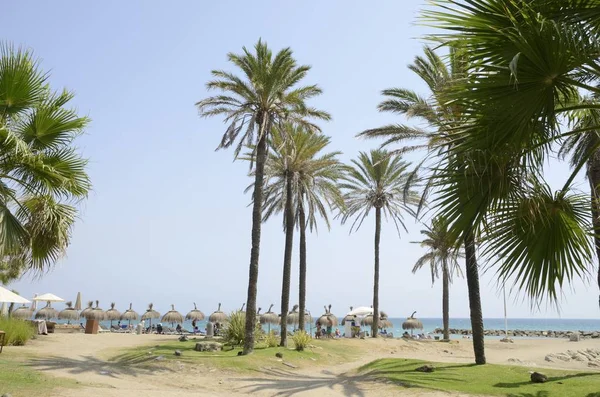 Marbella Spanien August 2018 Sonnenbaden Und Relaxen Strand Von Marbella — Stockfoto