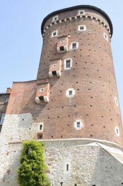 Kule kalenin Krakow, Polonya.