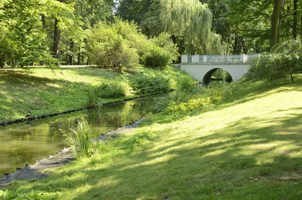 Steinbrücke Über Kleinen Fluss Park Warschau Polen — Stockfoto