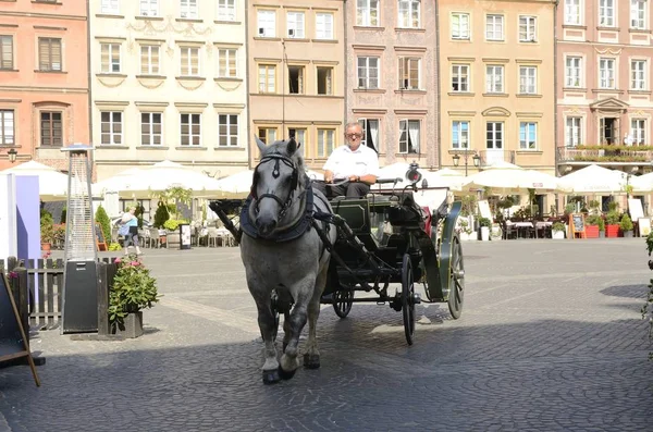 Varsóvia Polônia Julho 2018 Carruagem Cavalo Praça Mercado Cidade Velha — Fotografia de Stock