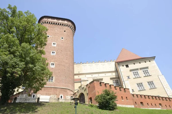 Kracow Pologne Juillet 2018 Château Royal Sur Colline Wawel Dans — Photo