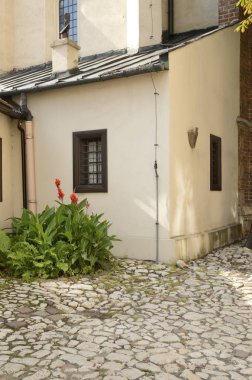 Krakow, Polonya eski şehir sokak parke taşı.