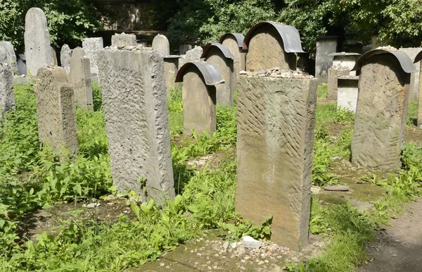Tombes Sur Vieux Cimetière Juif Cracovie Pologne — Photo
