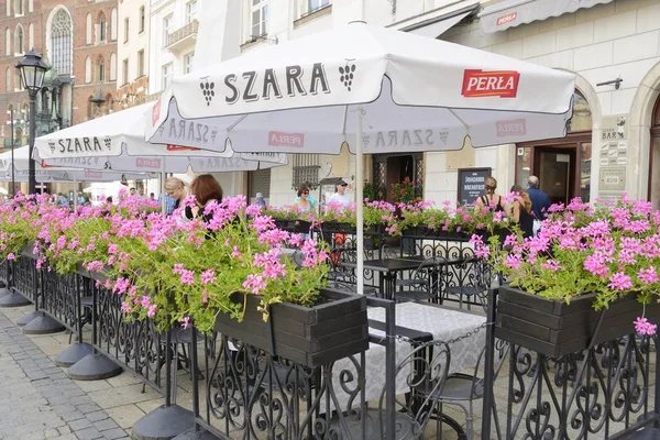 レストラン テラスでメイン広場のクラクフ ポーランドのクラクフ ポーランド 2018 ピンクの花 — ストック写真