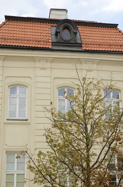 Baum Und Traditionelles Haus Mit Ziegeldach Der Altstadt Von Warschau — Stockfoto