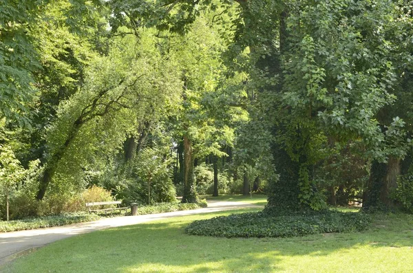 Sentiero Pedonale Parco Varsavia Polonia — Foto Stock