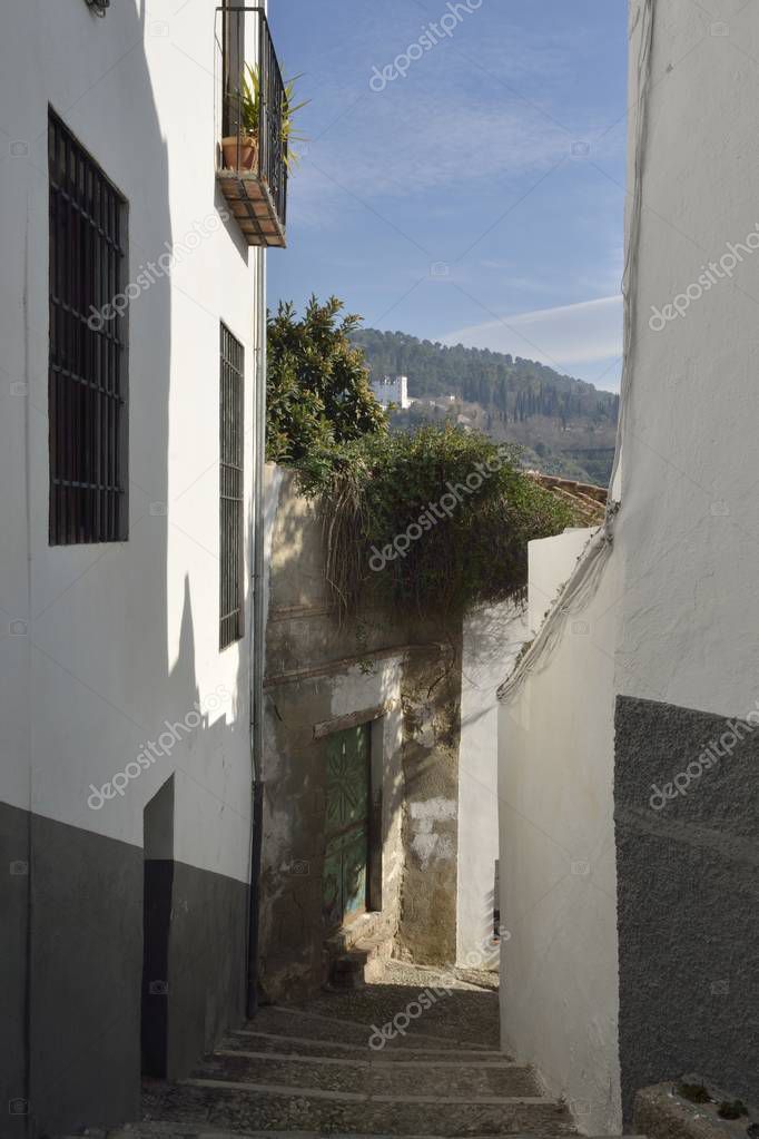 monysasi