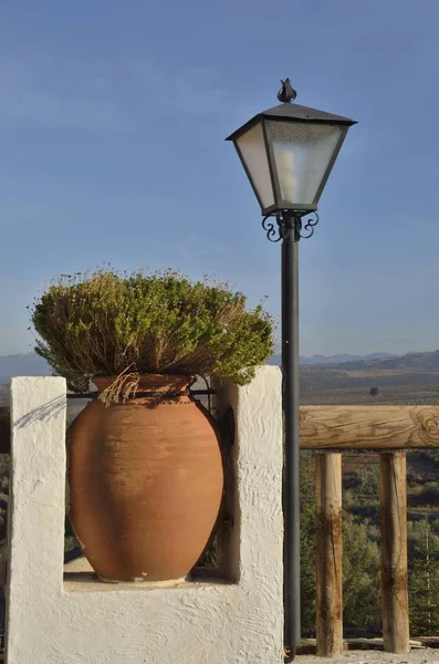 Zelené Rostliny Velký Hliněný Hrnec Vesnici Granada Andalusie Španělsko — Stock fotografie