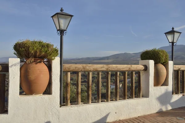 Planta Verde Sobre Maceta Barro Grande Pueblo Granada Andalucía España — Foto de Stock