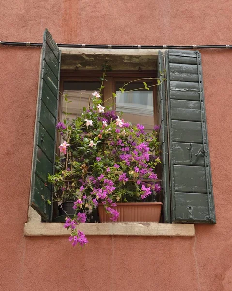 Persianas Verdes Una Vívida Pared Naranja Venecia Italia — Foto de Stock