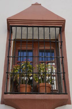 Saksı Benahavis penceresinde