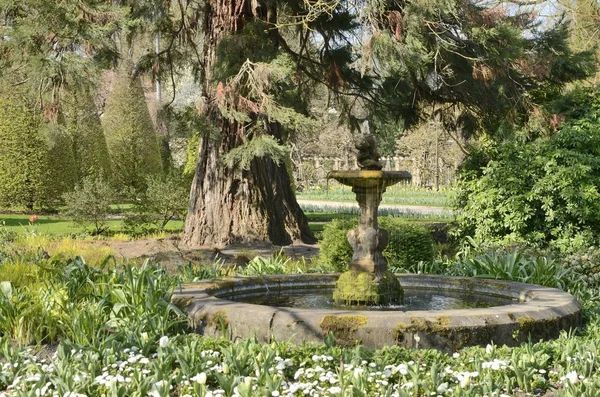 Fuente en el jardín — Foto de Stock