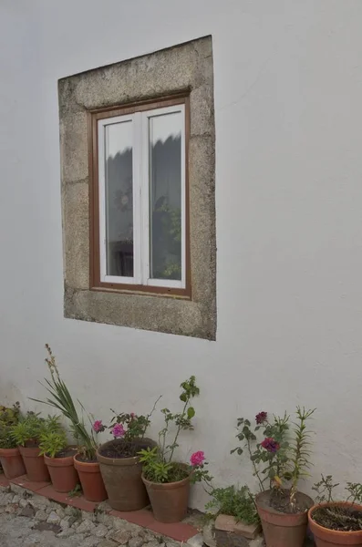 Fenêtre et pots de fleurs sur mur blanc — Photo