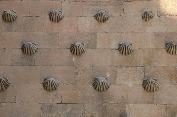 Detail gevel in Salamanca — Stockfoto