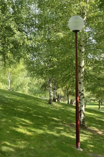 Grass area in park — Stock Photo, Image