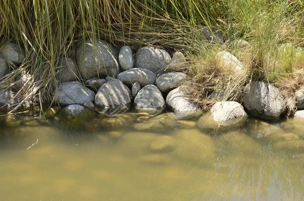 Камни у пруда — стоковое фото