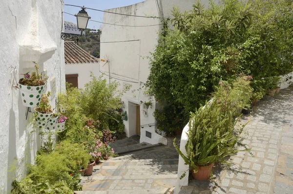 Mooi steegje in Casares — Stockfoto