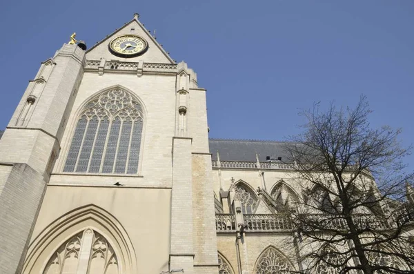 Kościół św Piotra w Leuven — Zdjęcie stockowe
