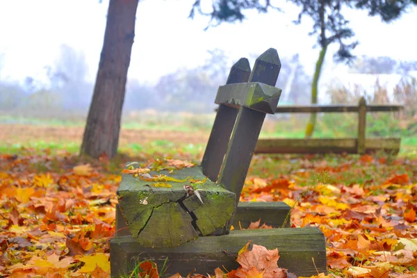 Bank Het Park — Stockfoto