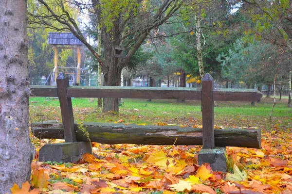 Lavička Parku — Stock fotografie