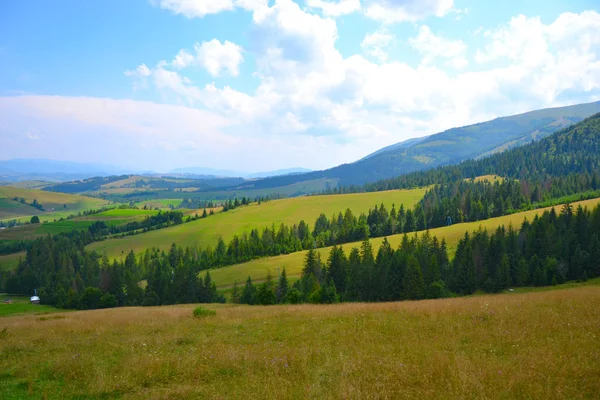 Viaggiare Nei Carpazi Montagne — Foto Stock