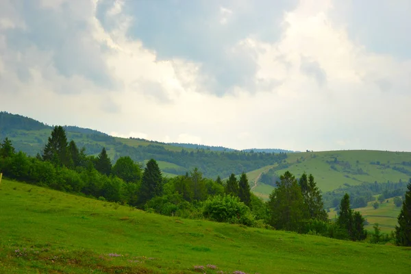 Karpatlar Içinde Seyahat Dağlar — Stok fotoğraf