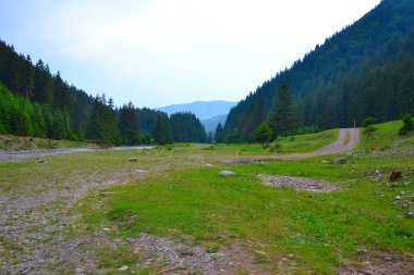 Karpatlar nehirde. Gergin akışı.