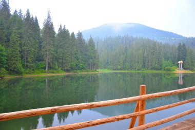 Karpatlar içinde seyahat. Synevir Gölü.