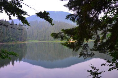Karpatlar içinde seyahat. Synevir Gölü.