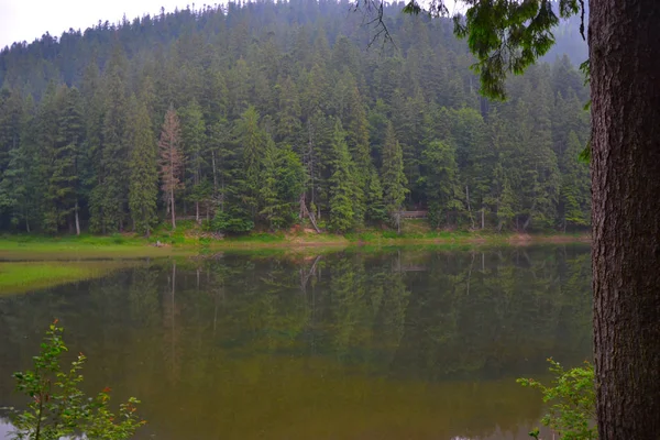 Karpatlar içinde seyahat. Dağlar.