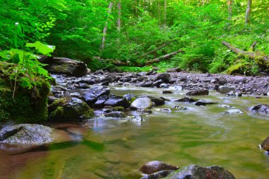 Karpatlar nehirde. Gergin akışı.