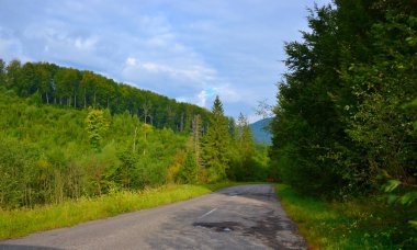 Karpatlar içinde seyahat. Dağlar.