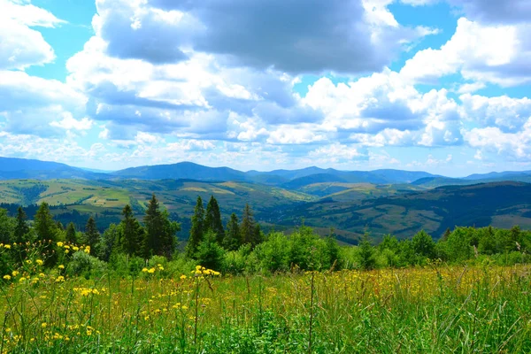 Viaggiare Nei Carpazi Montagne — Foto Stock