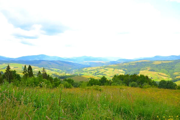 Viajando Nos Cárpatos Montanhas — Fotografia de Stock