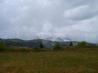 Misty Carpathians, sabah dağlarda.