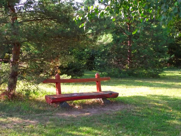 Banc Dans Parc — Photo